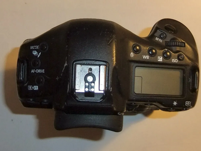 Canon 1D X Image