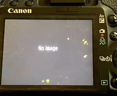 Canon EOS Rebel T1i Image
