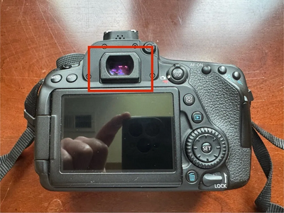 Canon 80D Image