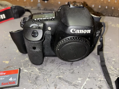 Canon 7D Image