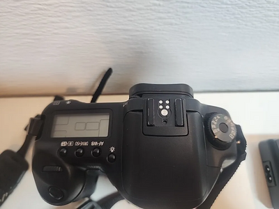 Canon 10D Image
