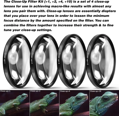 Canon EOS 90D Image