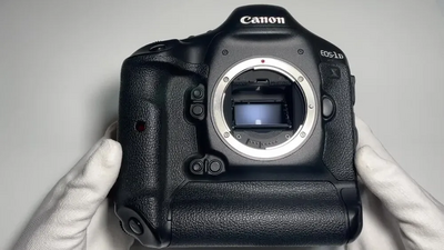 Canon 1Ds Mark III Image