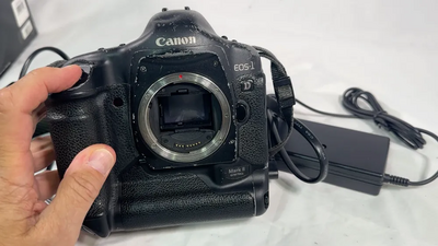 Canon 1D Mark II Image