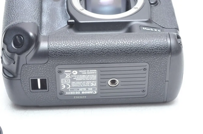 Canon 1D Mark II Image