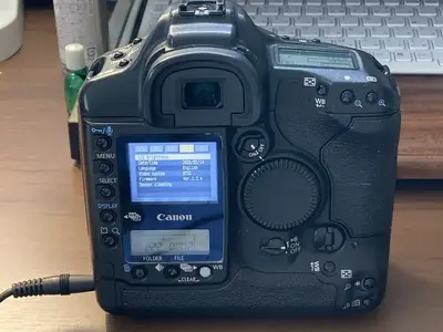 Canon 1D Mark II Image