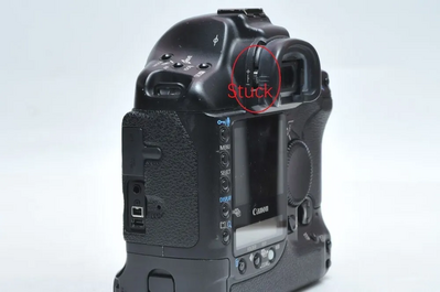 Canon 1D Mark II Image