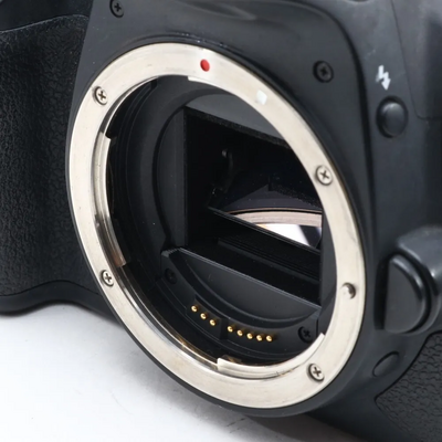 Canon SLR Digital Image