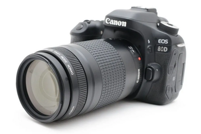 Canon SLR Digital Image