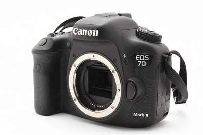 Canon SLR Digital Image