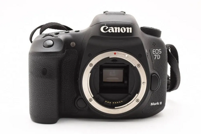 Canon SLR Digital Image