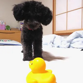 Canon EOS M100 Image