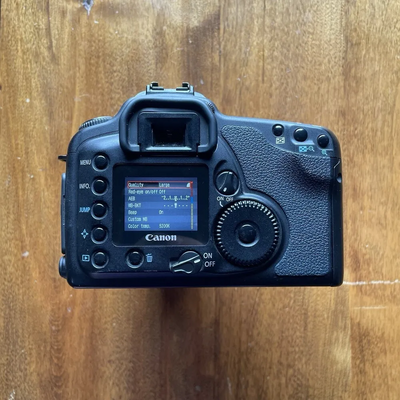 Canon 10D Image