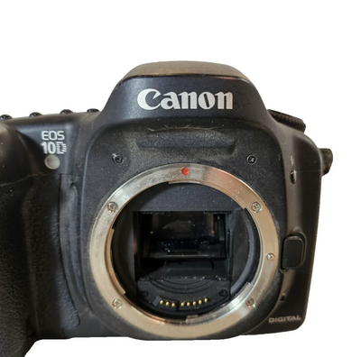 Canon 10D Image