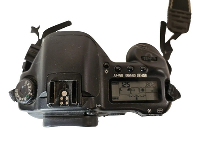 Canon 10D Image