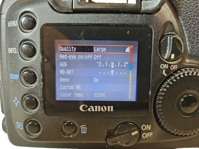 Canon 10D Image