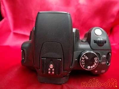 Canon Kiss Digital N Image