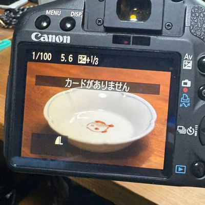 Canon S1 Image