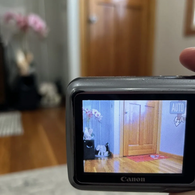 Canon A490 Image