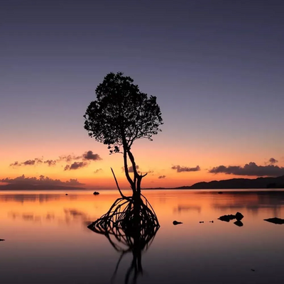 Canon EOS R50 Image