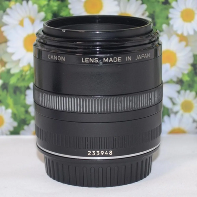 Canon 50mm F2.5 Image