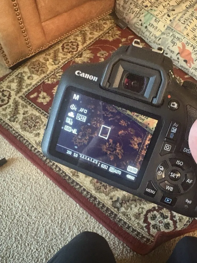 Canon EOS Digital Rebel T3i Image