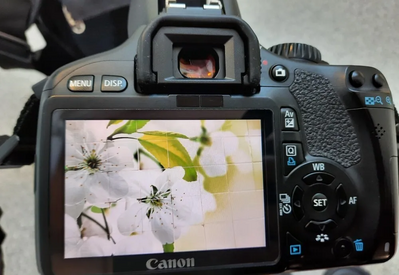 Canon 550D Image
