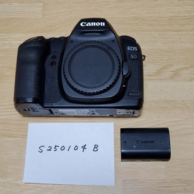 Canon EOS 5D Mark III Image
