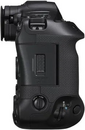 Canon EOS R1 Image