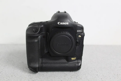 Canon 1DS Image