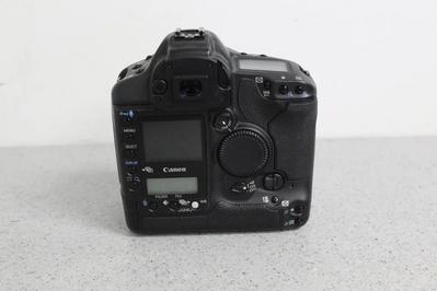 Canon 1DS Image