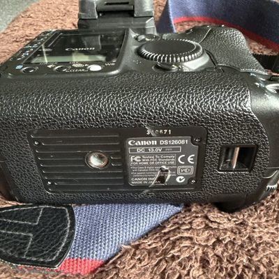 Canon 1DS Image