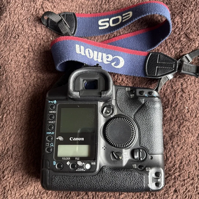 Canon 1DS Image