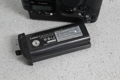 Canon 1DS Image