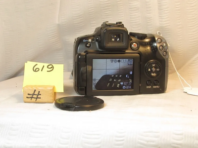Canon SX100 IS Image