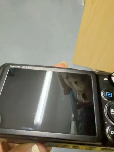 Canon Powershot sx710 hs Image