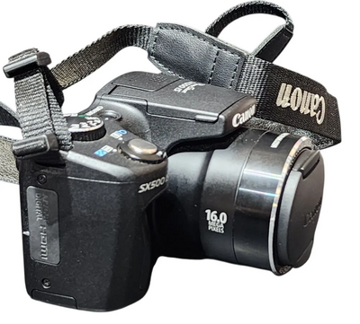 Canon SX500 IS Image