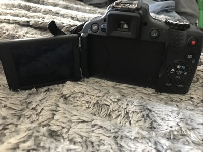 Canon SX500 IS Image