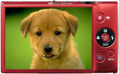Canon PowerShot ELPH Image