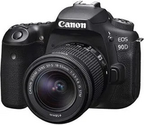 Canon 90D Image