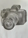 Canon 40D Image