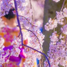 Fujifilm X-m1 Image