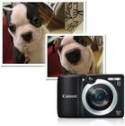 Canon VB-H610D Image