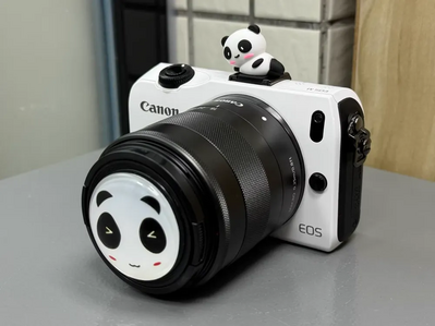 Canon EOS M Image