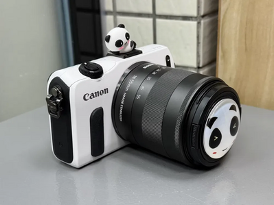 Canon EOS M Image