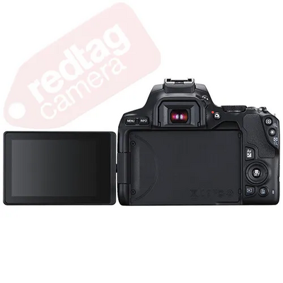 Canon Eos 250d Image