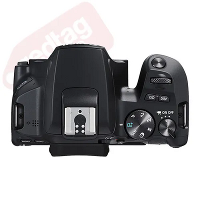 Canon Eos 250d Image