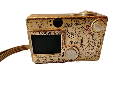 Canon Powershot sd100 Image