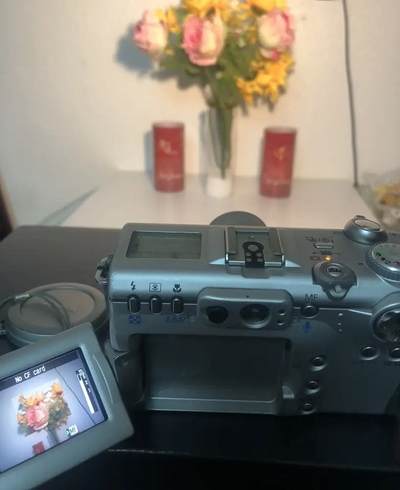 Canon Powershot G3 Image