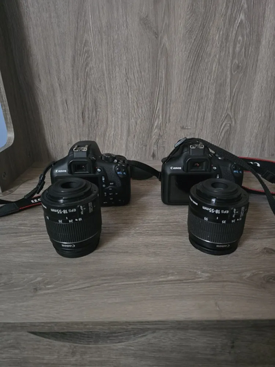 Canon Rebel T6, Rebel T7 Image
